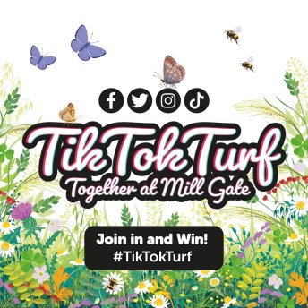 TikTokTurf - Join in and Win!