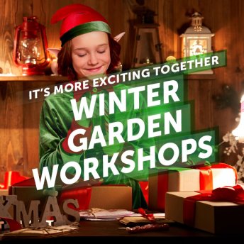 Winter Garden & Christmas Workshops